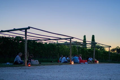 Picnic in a historical Lugana vineyard at Sirmione 1
